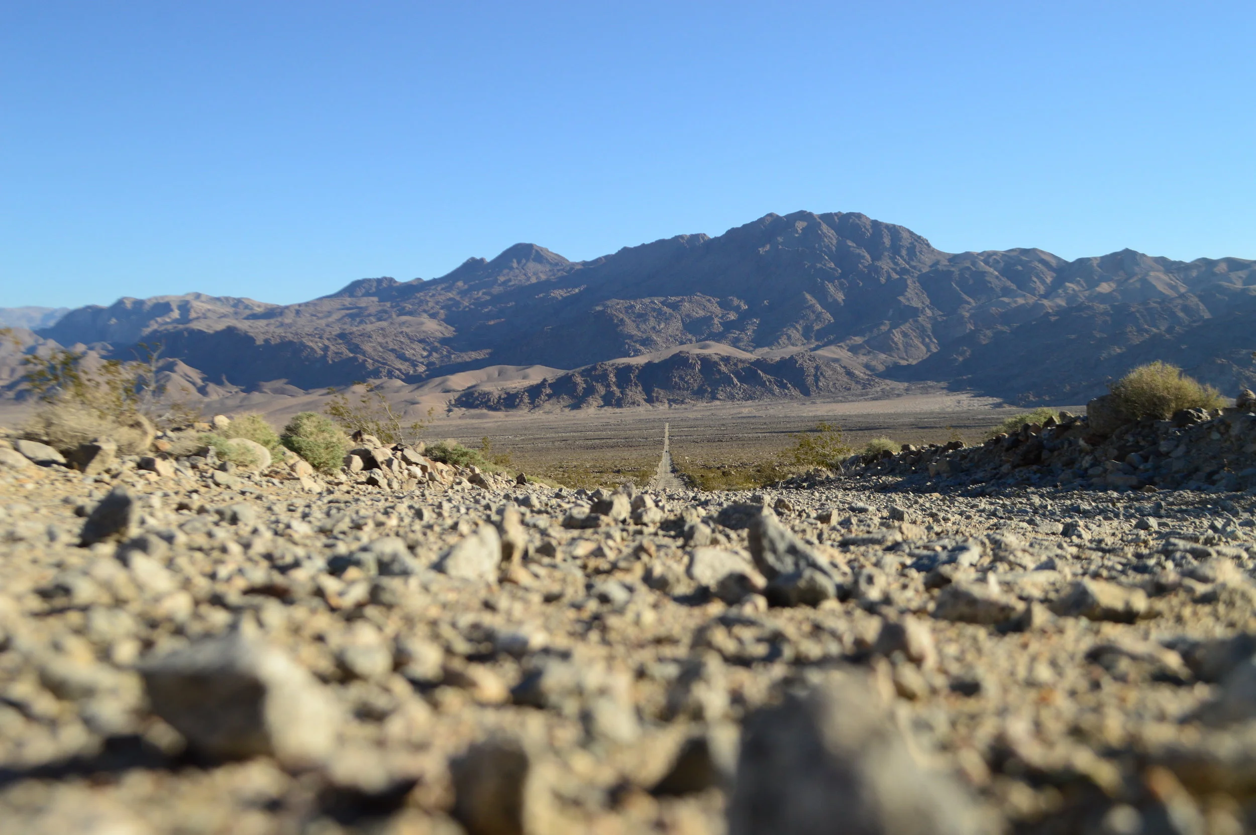 DSC_1454.JPG