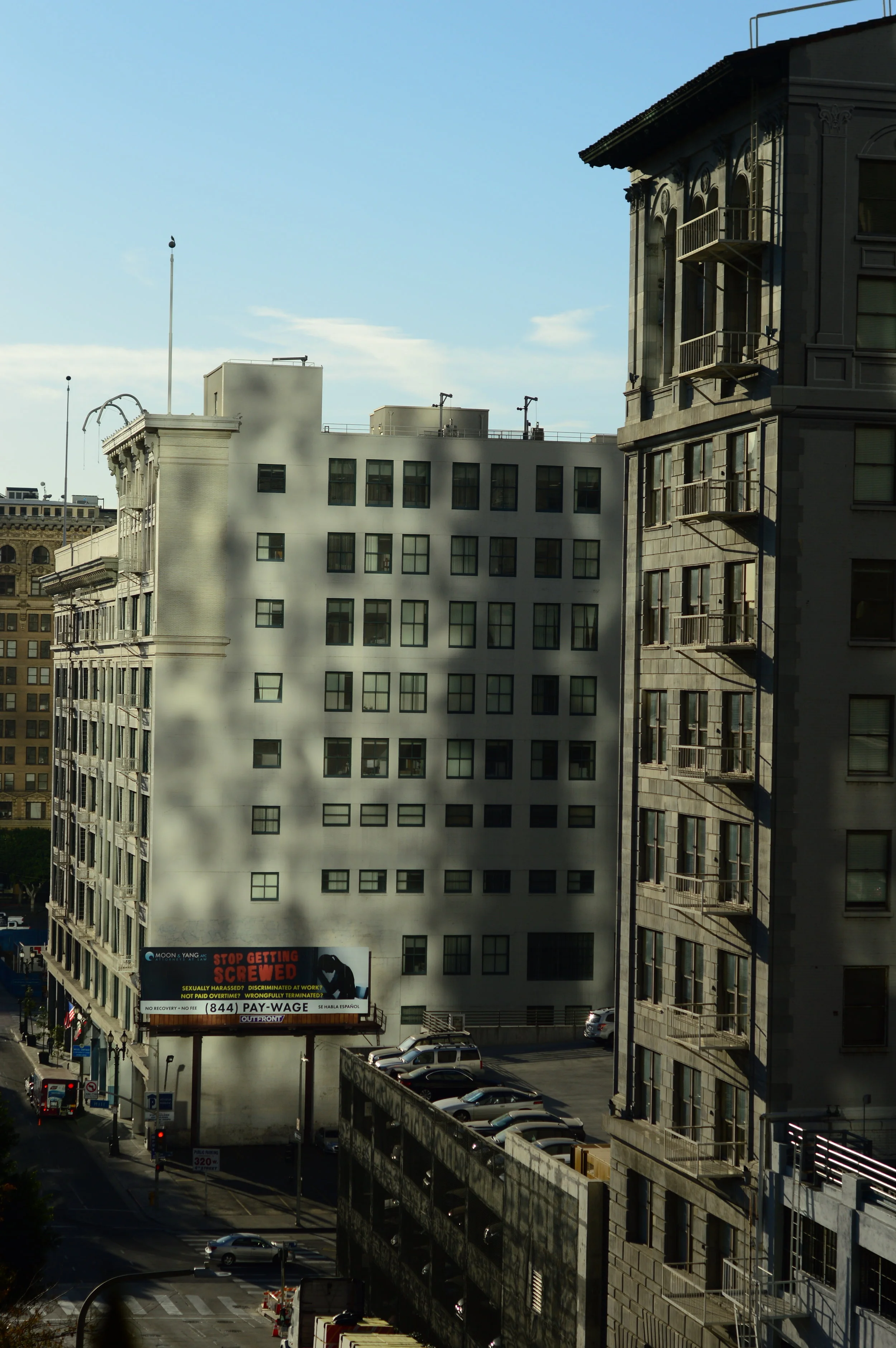 DSC_0556.JPG