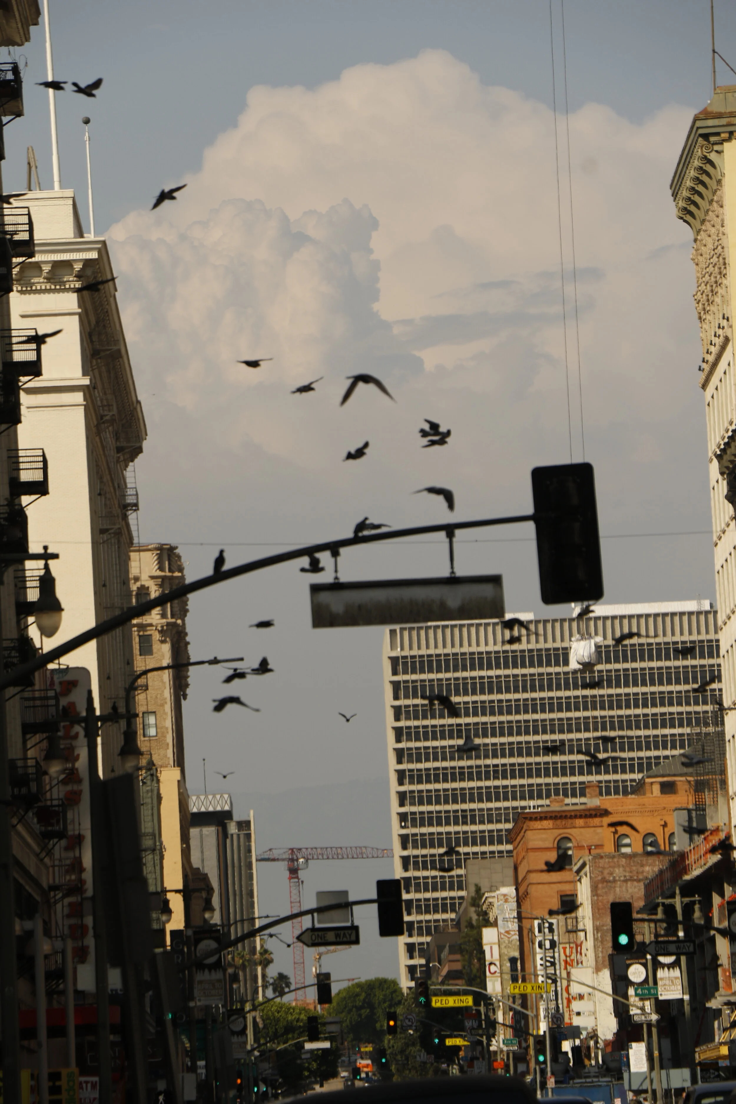 DSC_0336.JPG