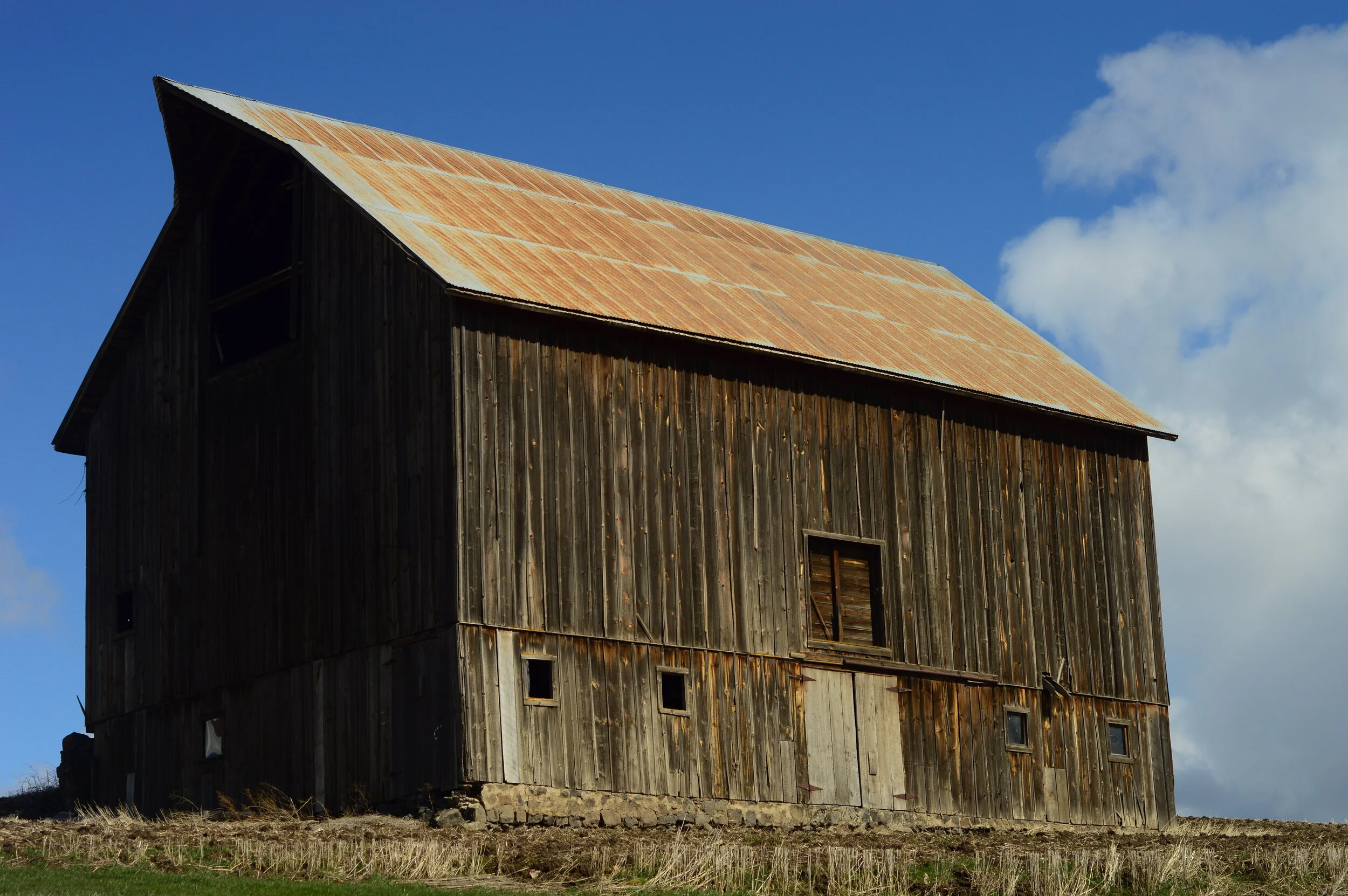 DSC_0135.JPG