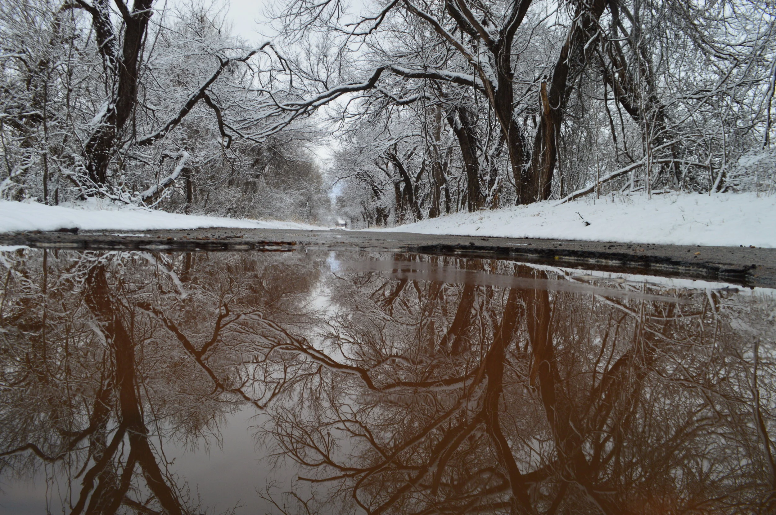 Ice Strom in Oklahoma--02.JPG .JPG