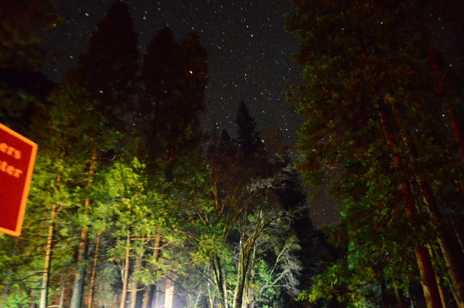 Chandler Watson 03.JPG