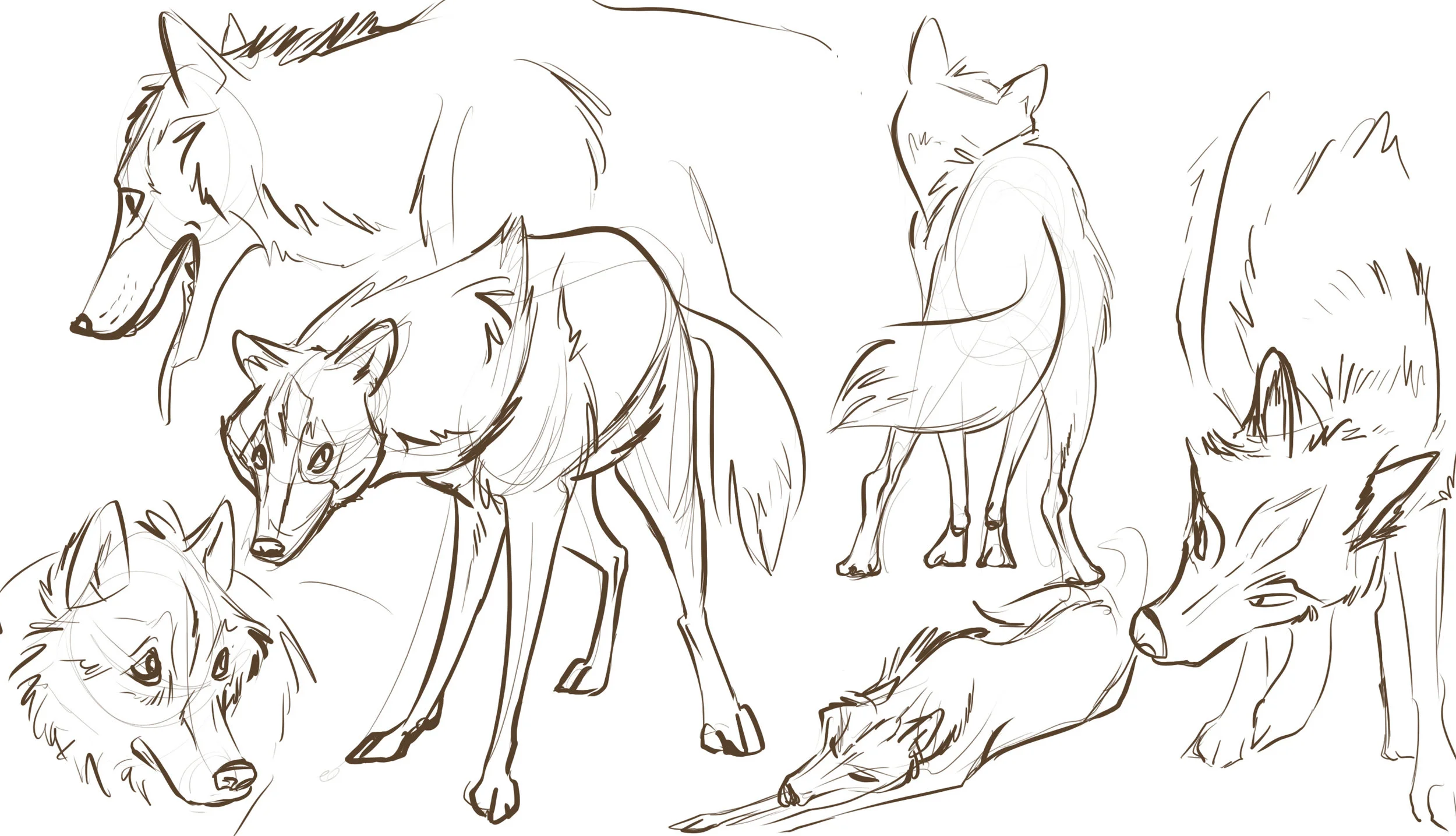 wolves.jpg