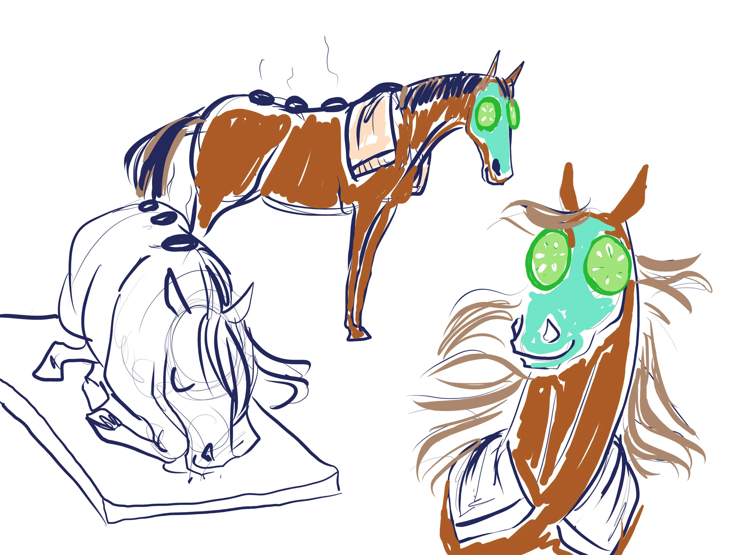 equivibe_sketches_3.jpg