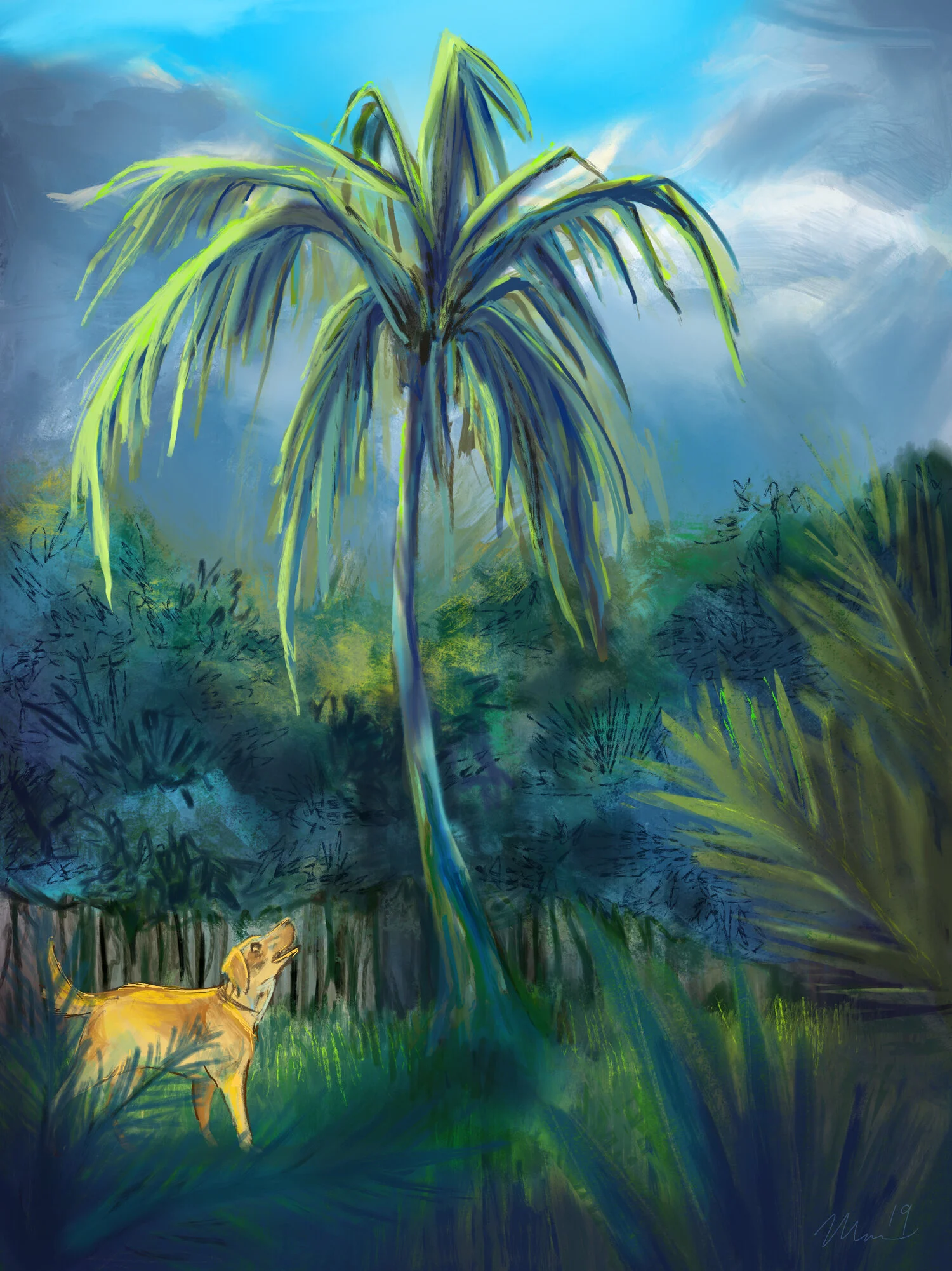 Florida Backyard