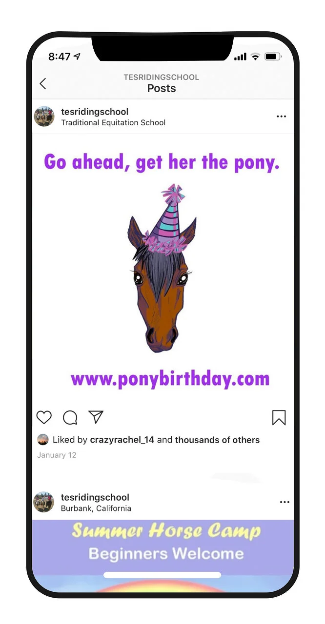 TES Ads_PonyBday.jpg