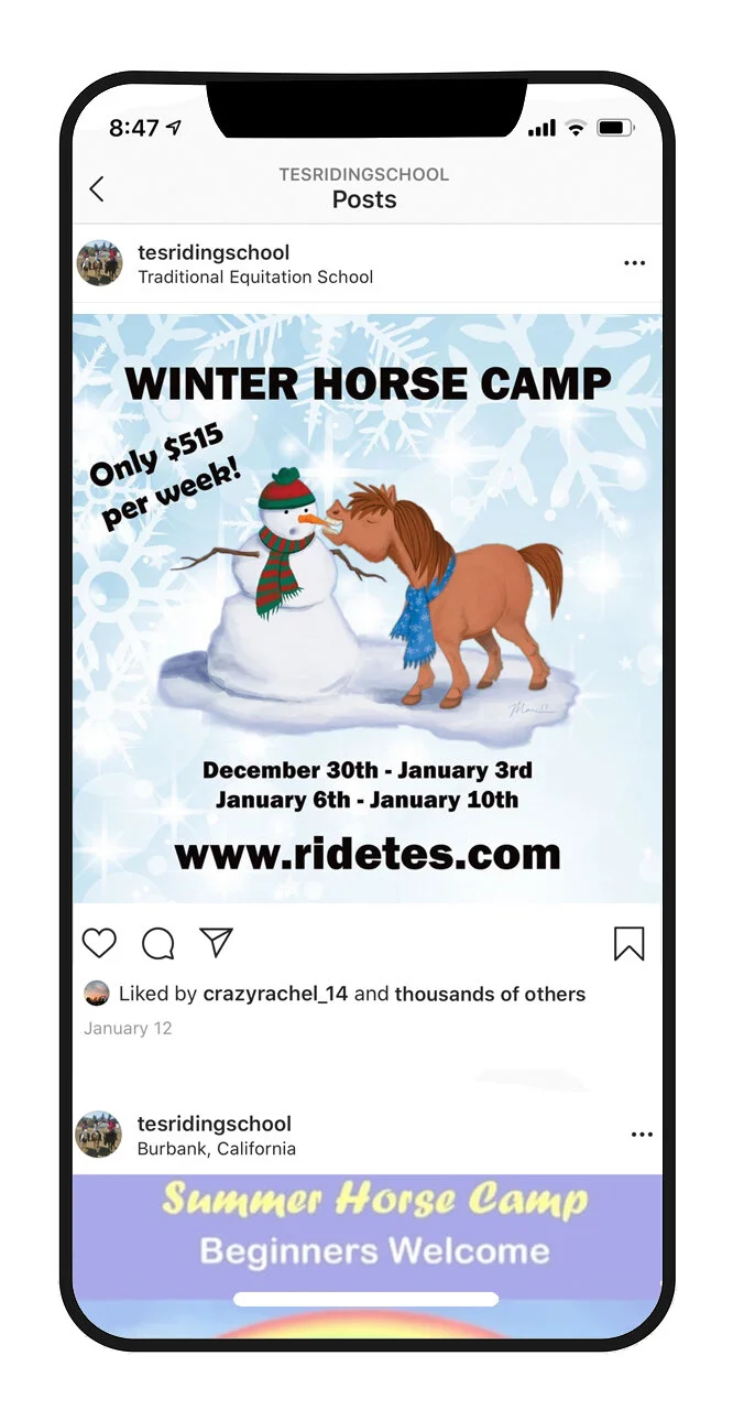TES Ads_WinterCamp.jpg