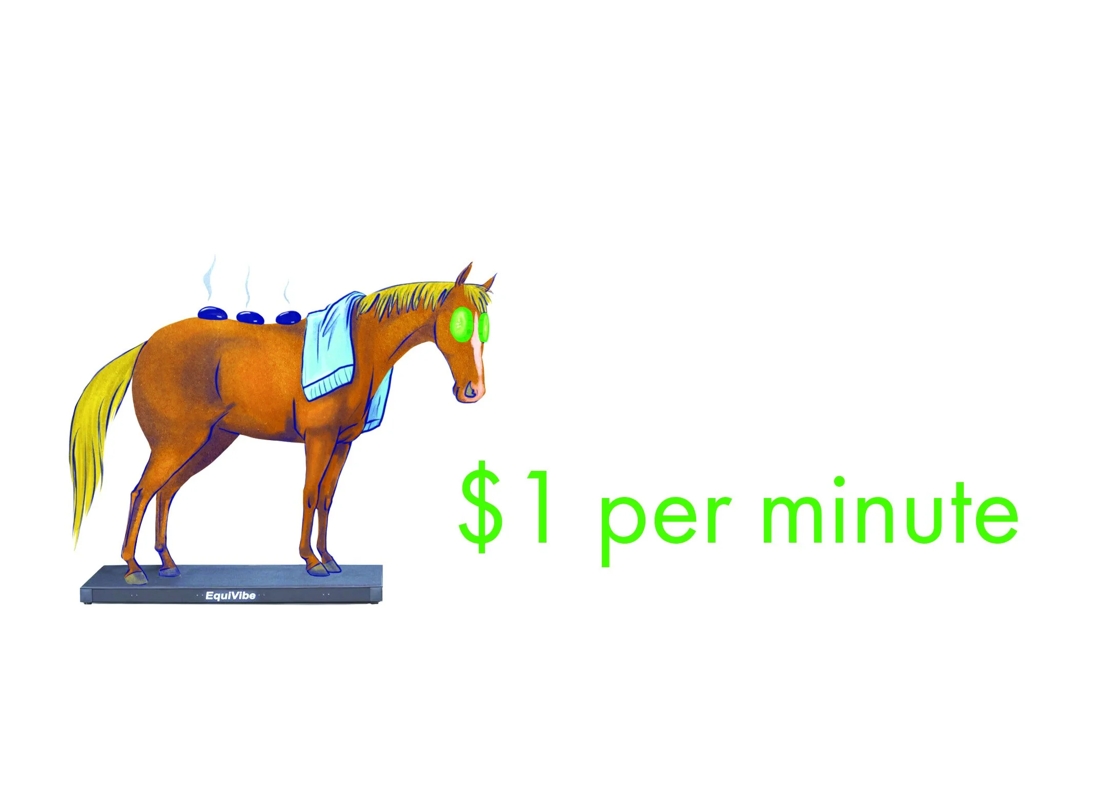 equivibe_back1.jpg