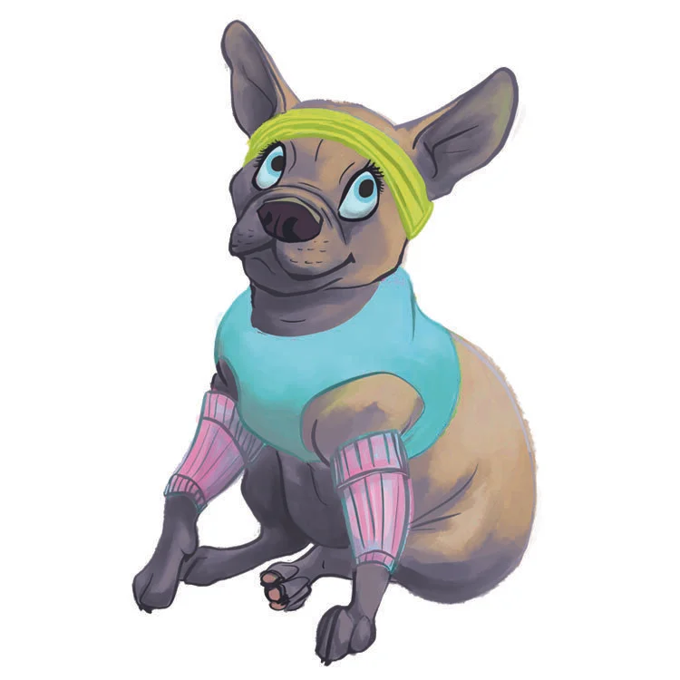 frenchie.jpg