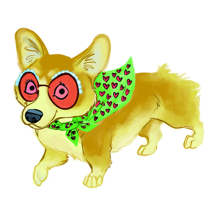corgi.jpg