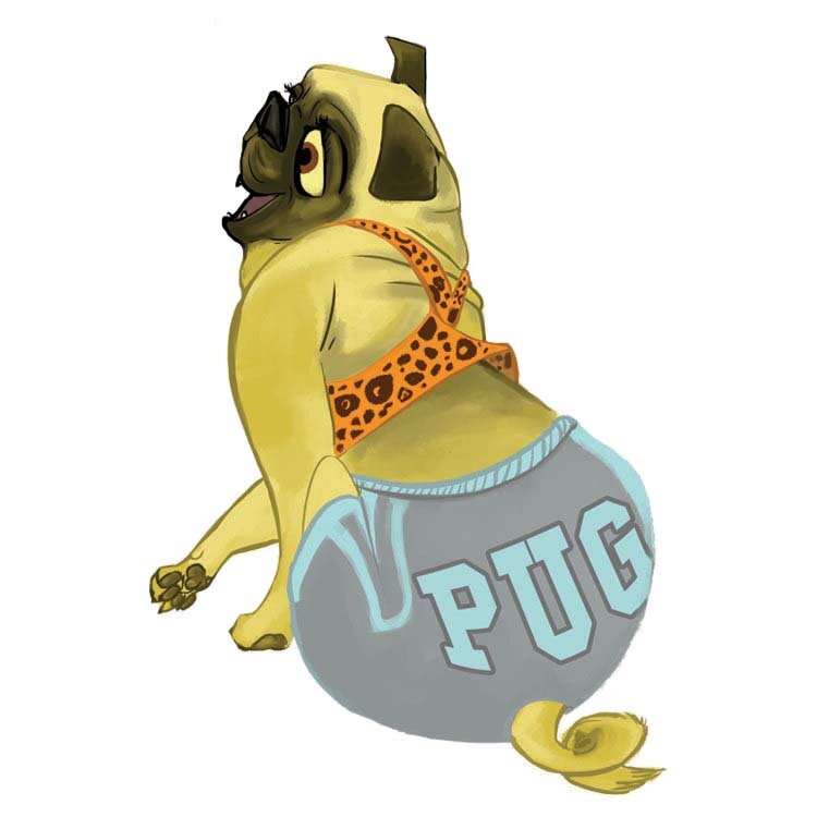 pug.jpg