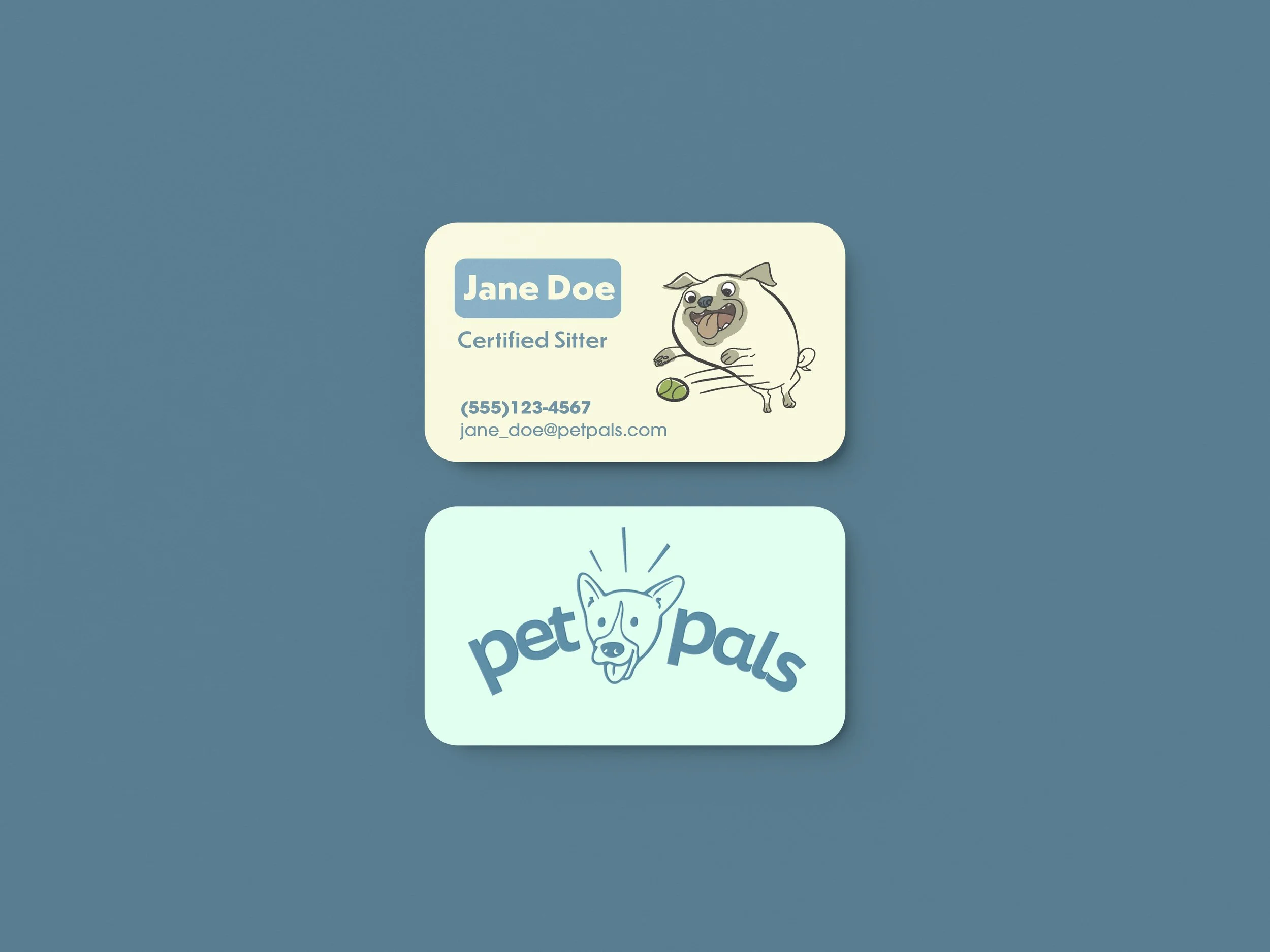 PetPals: Worry-free Pet Sitting, Re-characterized