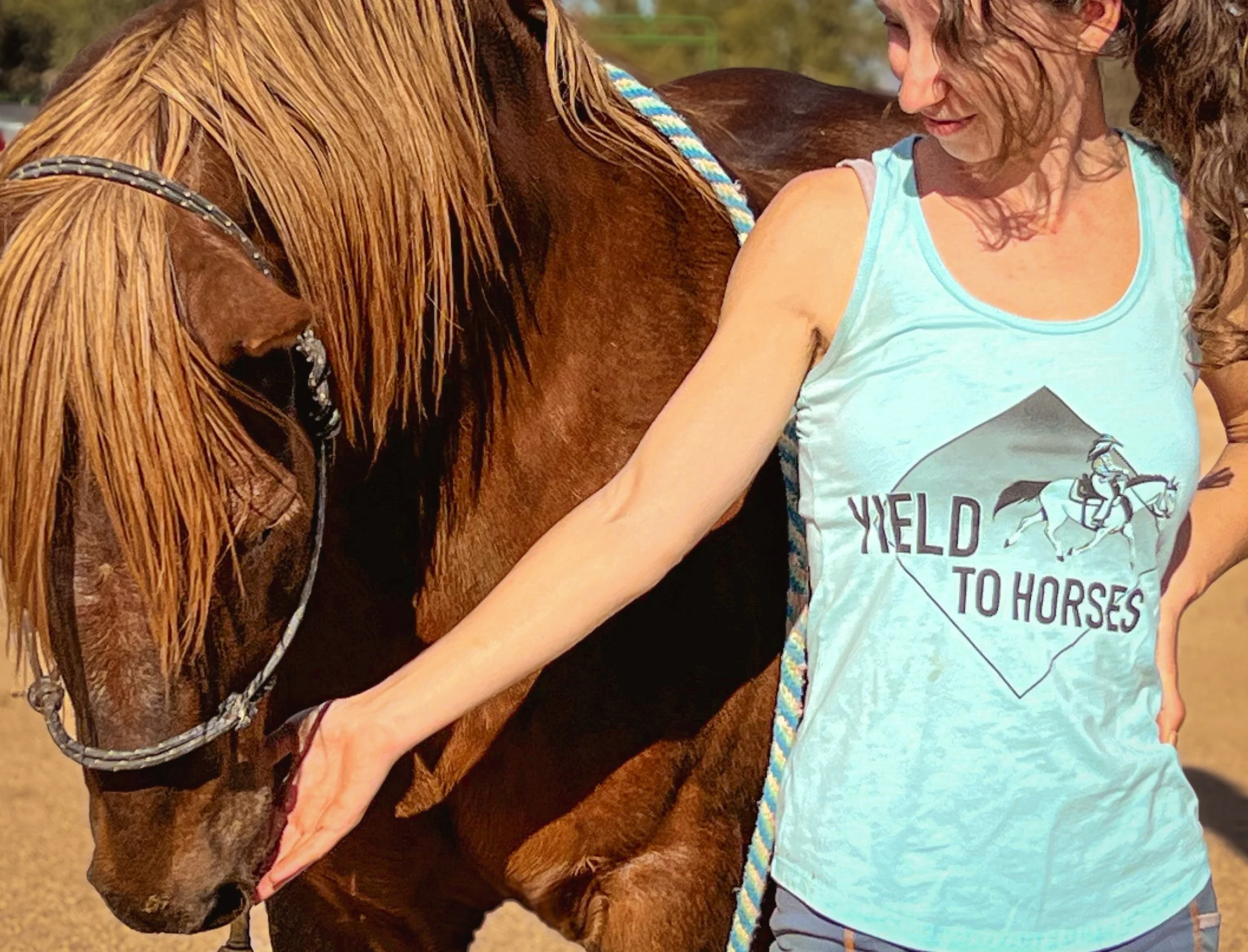 Equestrian Blue T-shirt Logo Design