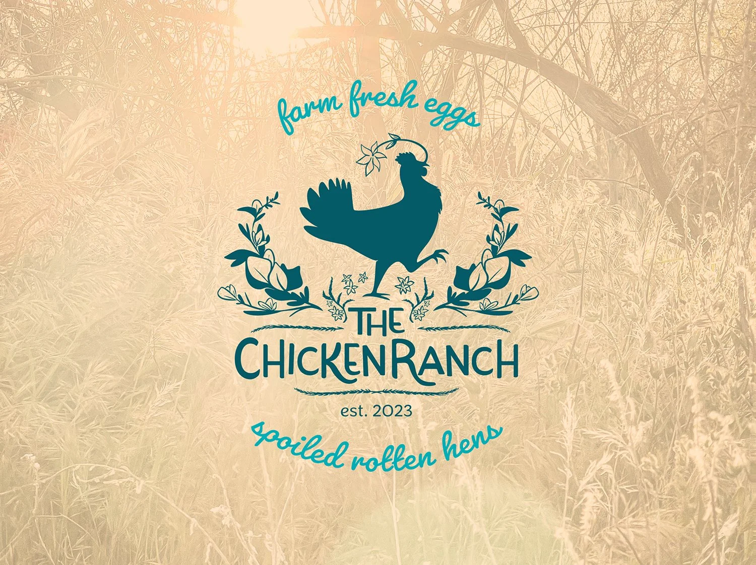 The Chicken Ranch Logo Design Presentation