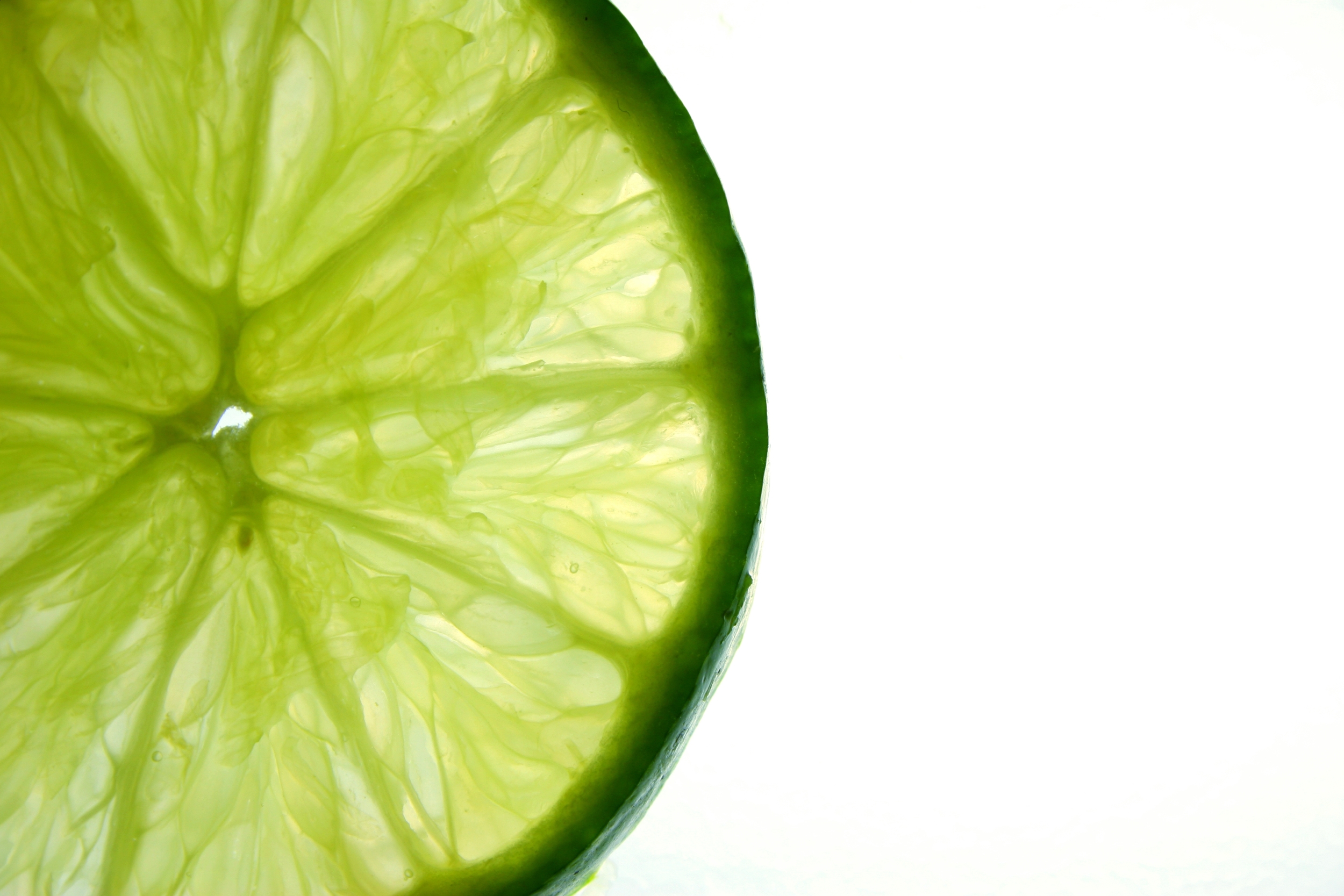 lime slice.jpg