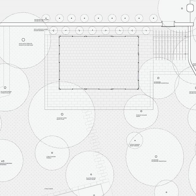 Plan (with plantings) of Kamara Projects&rsquo; Garden Pavilion at the Early Childhood Center in Kathmandu, Nepal. 
#plan #preschool #pavilion #architecture #landscape #drawing #representation #eucalyptus #blackplum #pomelo #cinnamon #bamboo #guava #