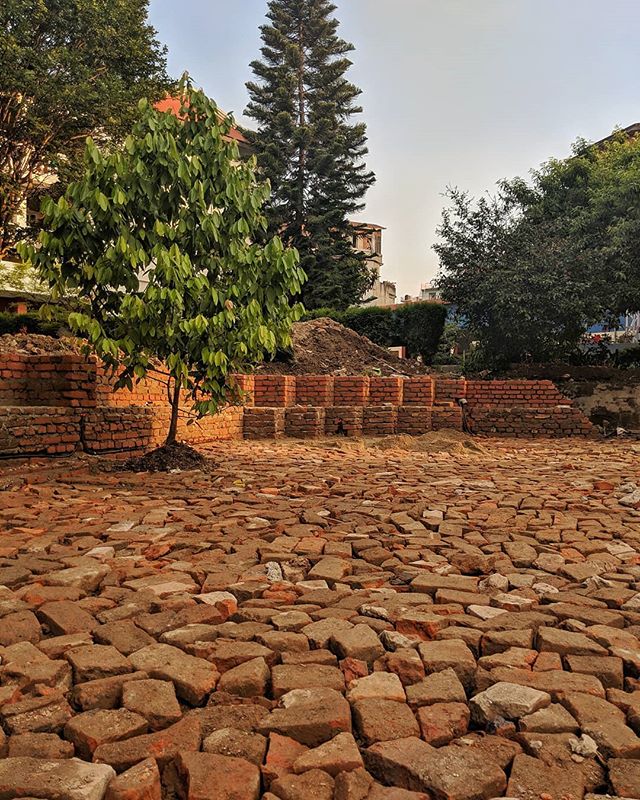 Sitework in progress on our sunken courtyard project in Kathmandu. Site plantings include cinnamon and Kashmiri almond trees. #landscapearchitecture #kathmanduvalley #nepal #montanevalley