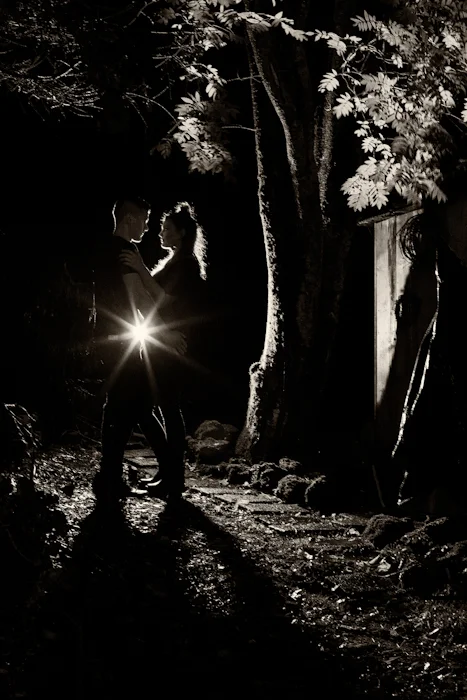 Dark-61-Edit-Edit.jpg