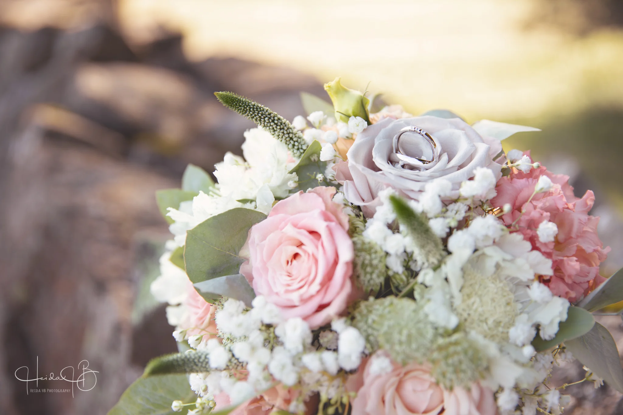 6Y5A6416-Edit.jpg
