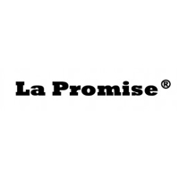 logo-La-Promise-300x64.jpg