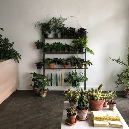 plantsale.jpg