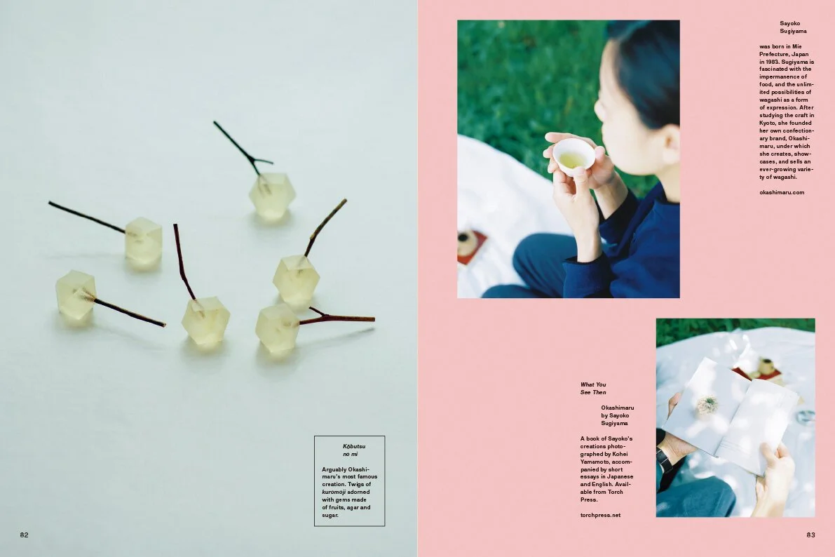 JdT_Chapter-03_F01_P82-83_Okashimaru_01.jpg
