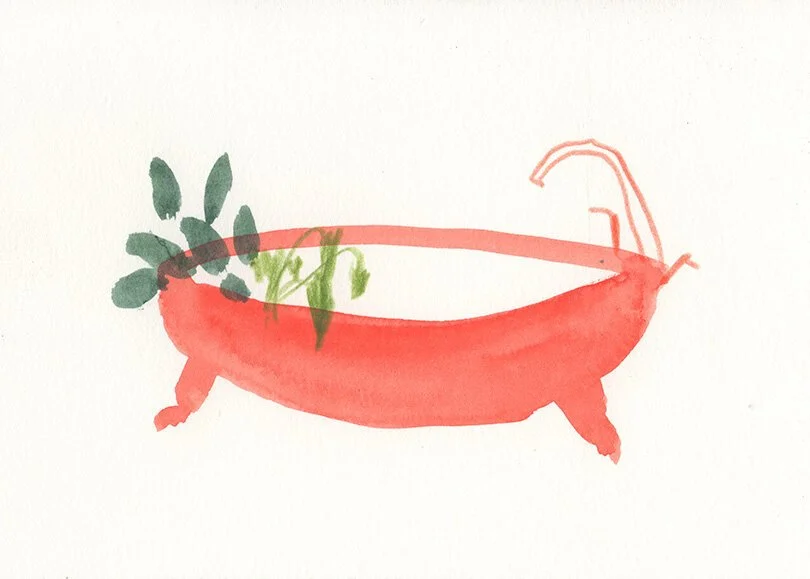 bathtub.jpg