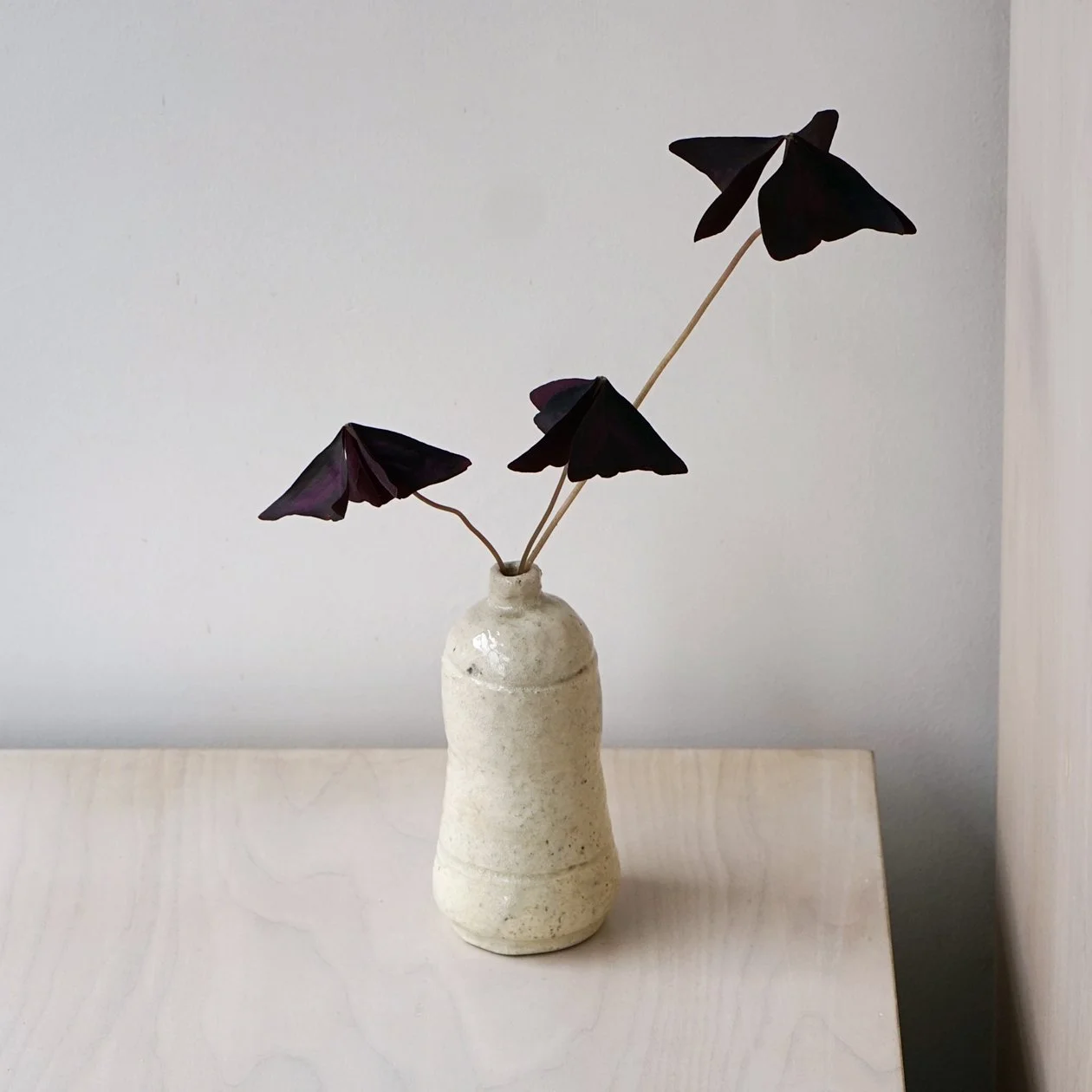 Collection1_23.jpg