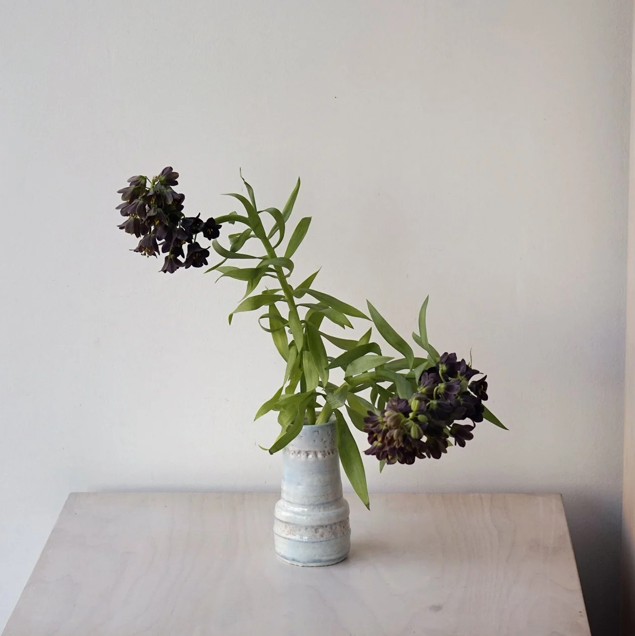 Collection1_35.jpg