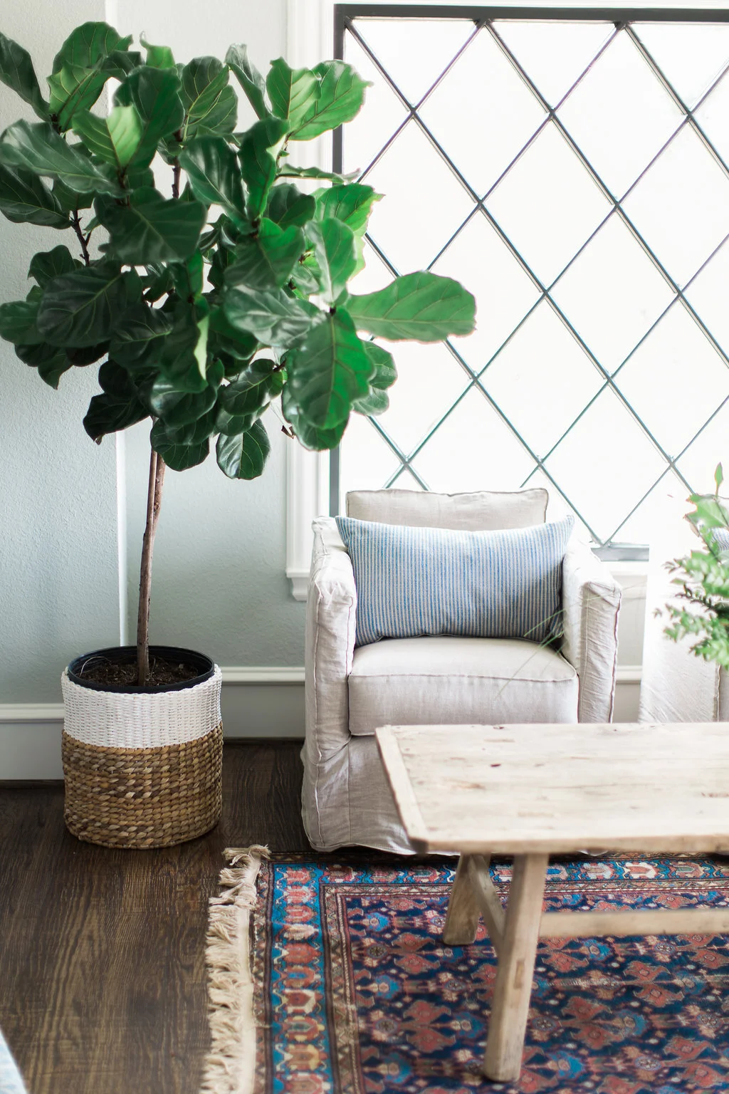 032316_BrittLatz_ParkHillInteriors-41.jpg