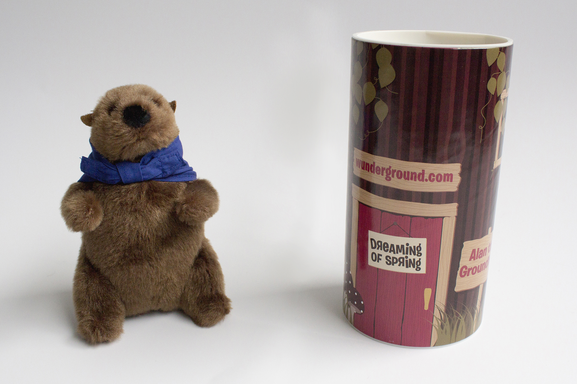 Groundhog Day 2012 DM Campaign