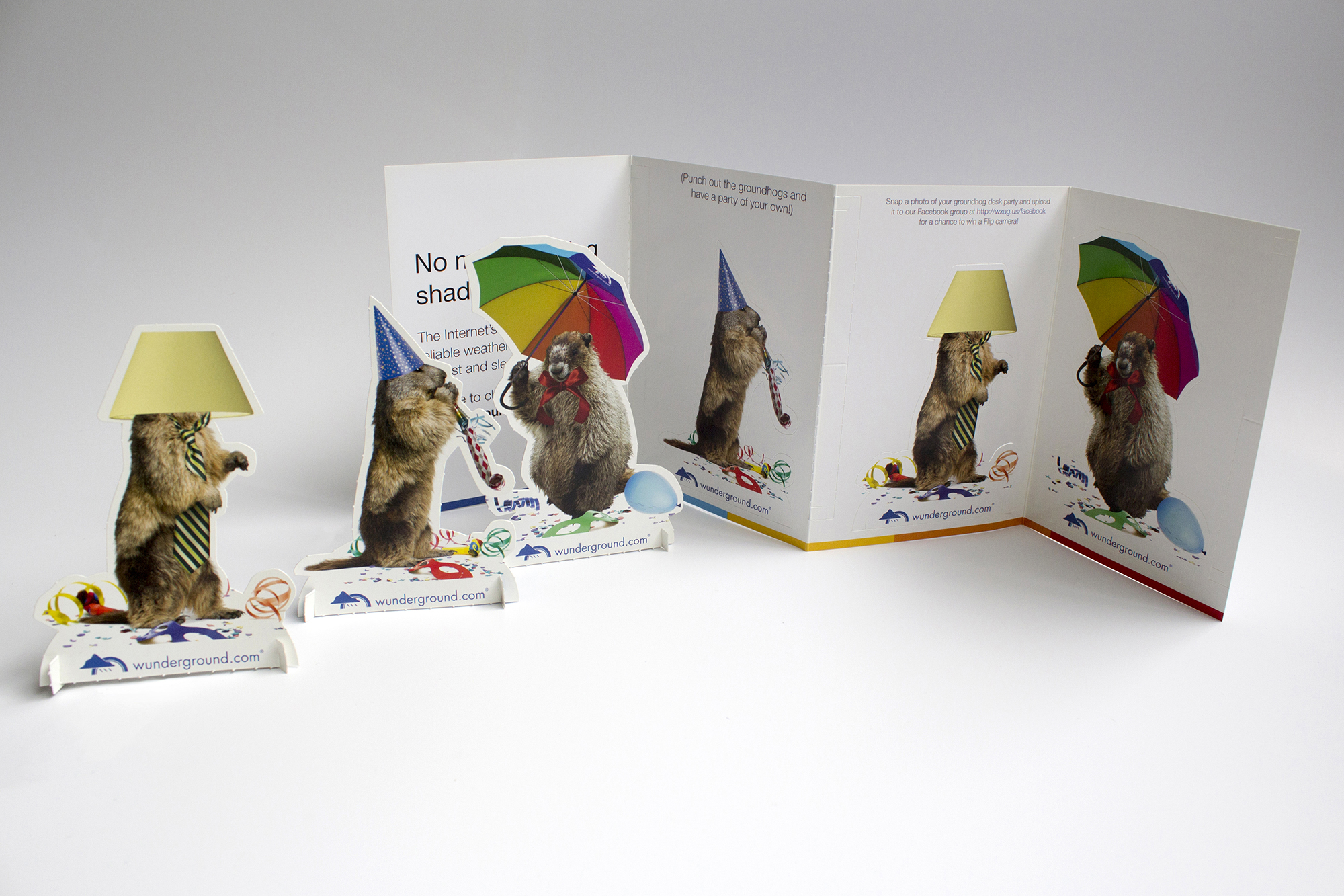 Groundhog Day Mailer, 2011