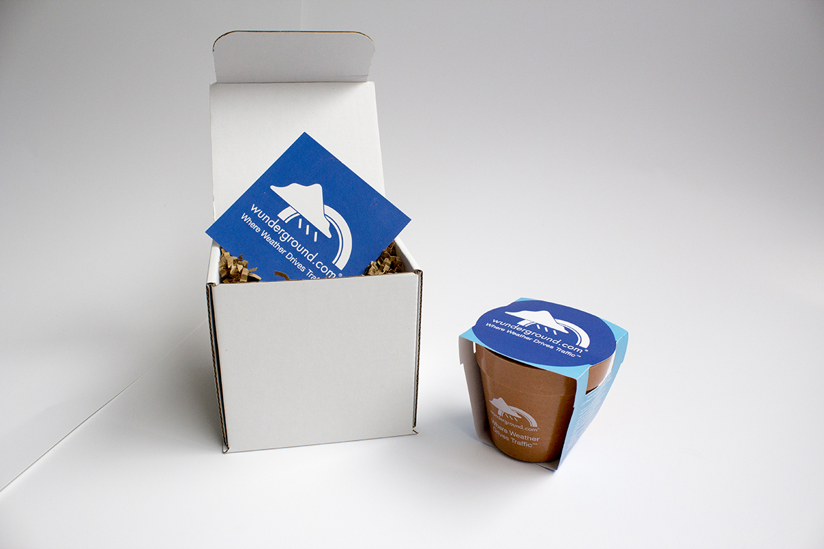WunderSprout Direct Mail Campaign