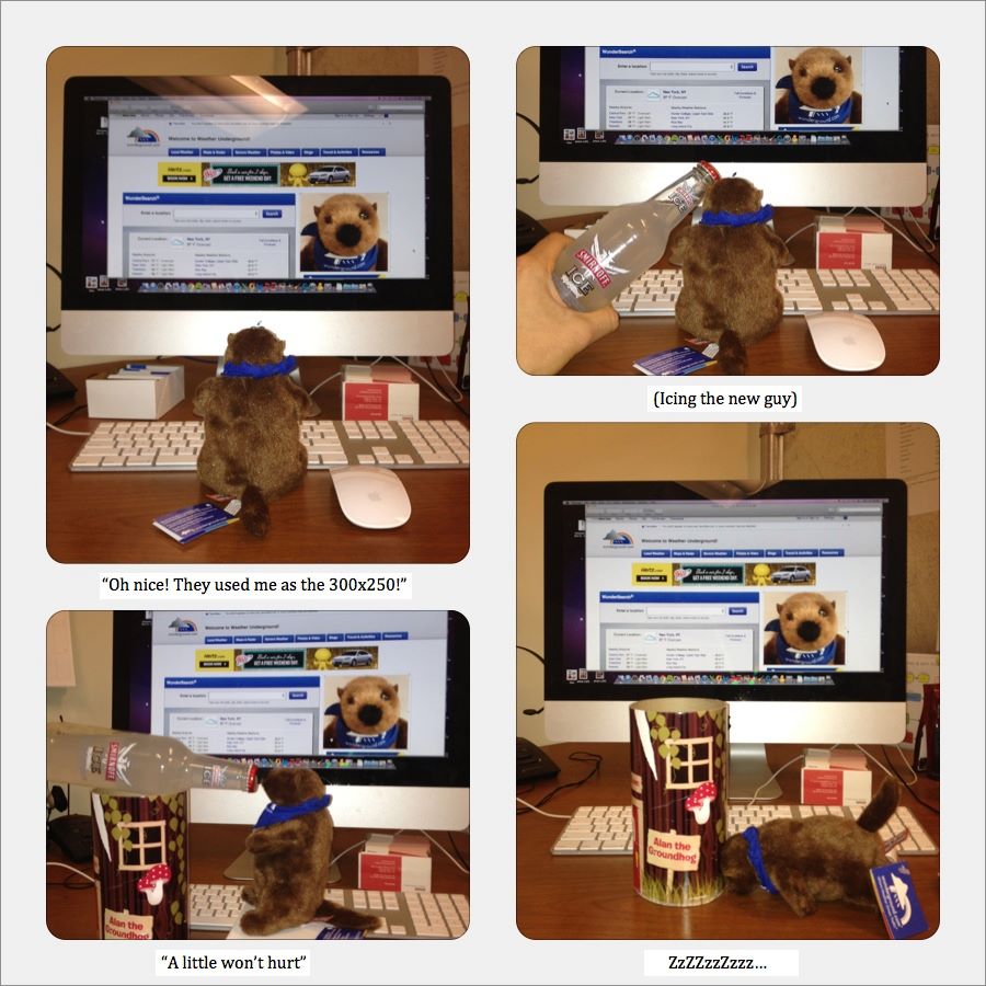 Groundhog Day 2012 DM Campaign