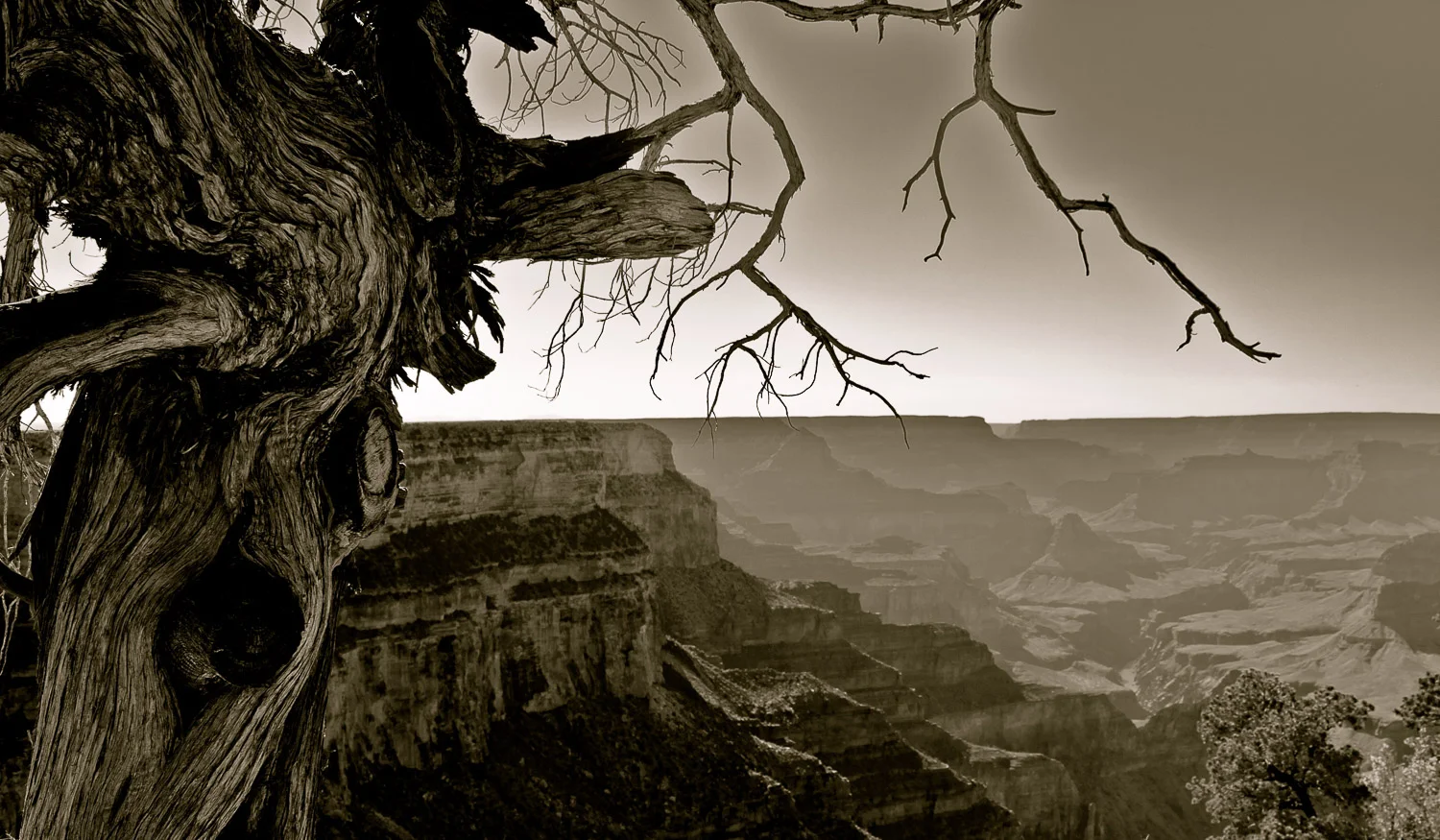 canyon-2.jpg