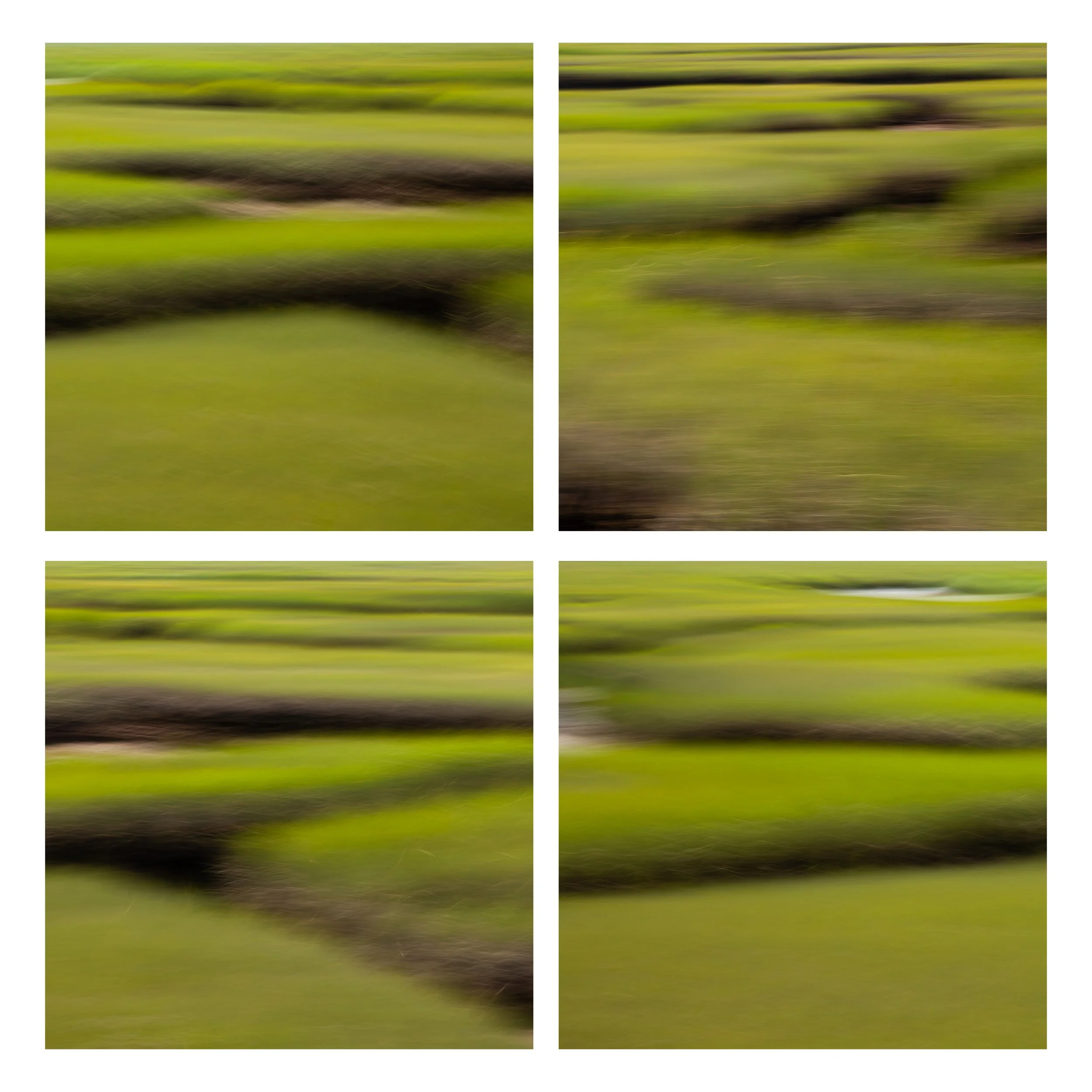 Marshland Maze
