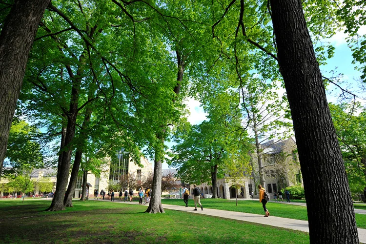 St. Olaf College Campus Green.jpg