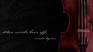 Cello - %22Where words leave off, music begins%22.jpg