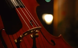 Cello with soft light in background.jpg