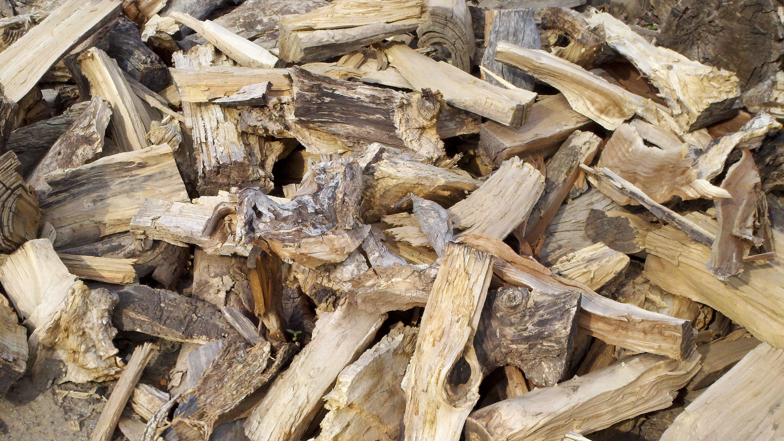 A medium hardwood and excellent cooking fuel praised for its mild, sweet smoke.
