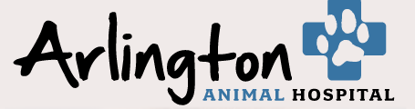 Screen Shot 2018-02-01 at 8.08.44 PM.png