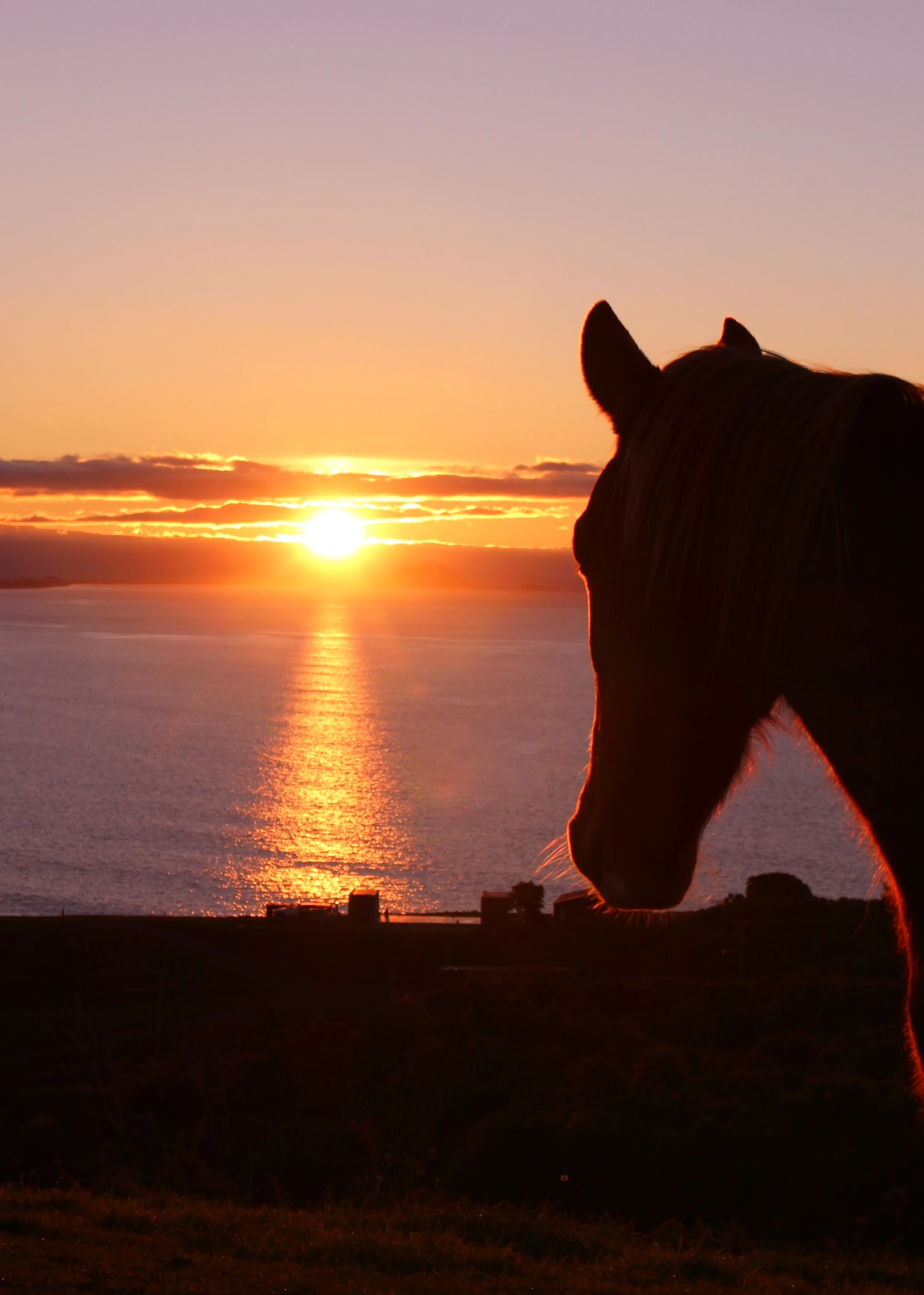 Te tiro atu to kanohi ki tairawhiti ana tera whiti te ra kite ataata ka hinga ki muri kia koe.&nbsp;&nbsp;&nbsp;&nbsp;&nbsp;&nbsp;&nbsp;&nbsp;&nbsp;&nbsp; "Turn your face to the sun and the shadows fall behind you."&nbsp; – Maori proverb