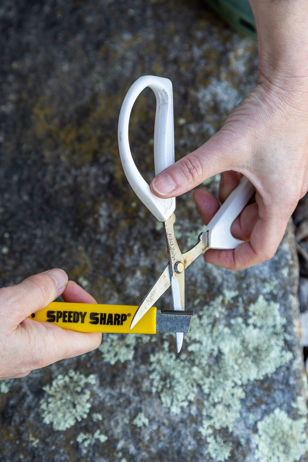 Speedy Sharp — Sugar Tools