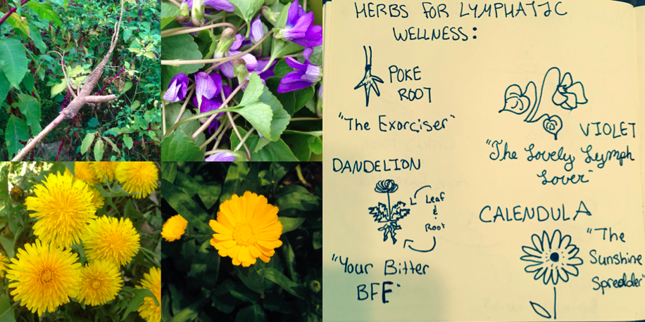 How do my doodles compare to the real-life pictures?