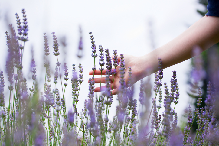 Herbal Wellness for Women NJ