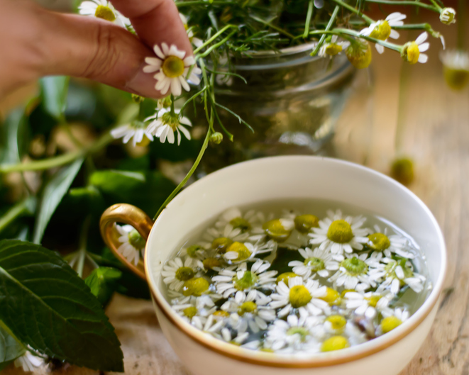 Herbal Remedies NJ | Herbal Wellness New Jersey