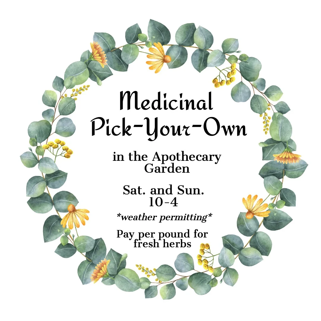 Medicinal Pick-Your-Own Herbs in the Apothecary Garden.jpg