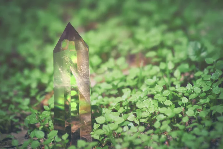 Quartz in plants.jpg