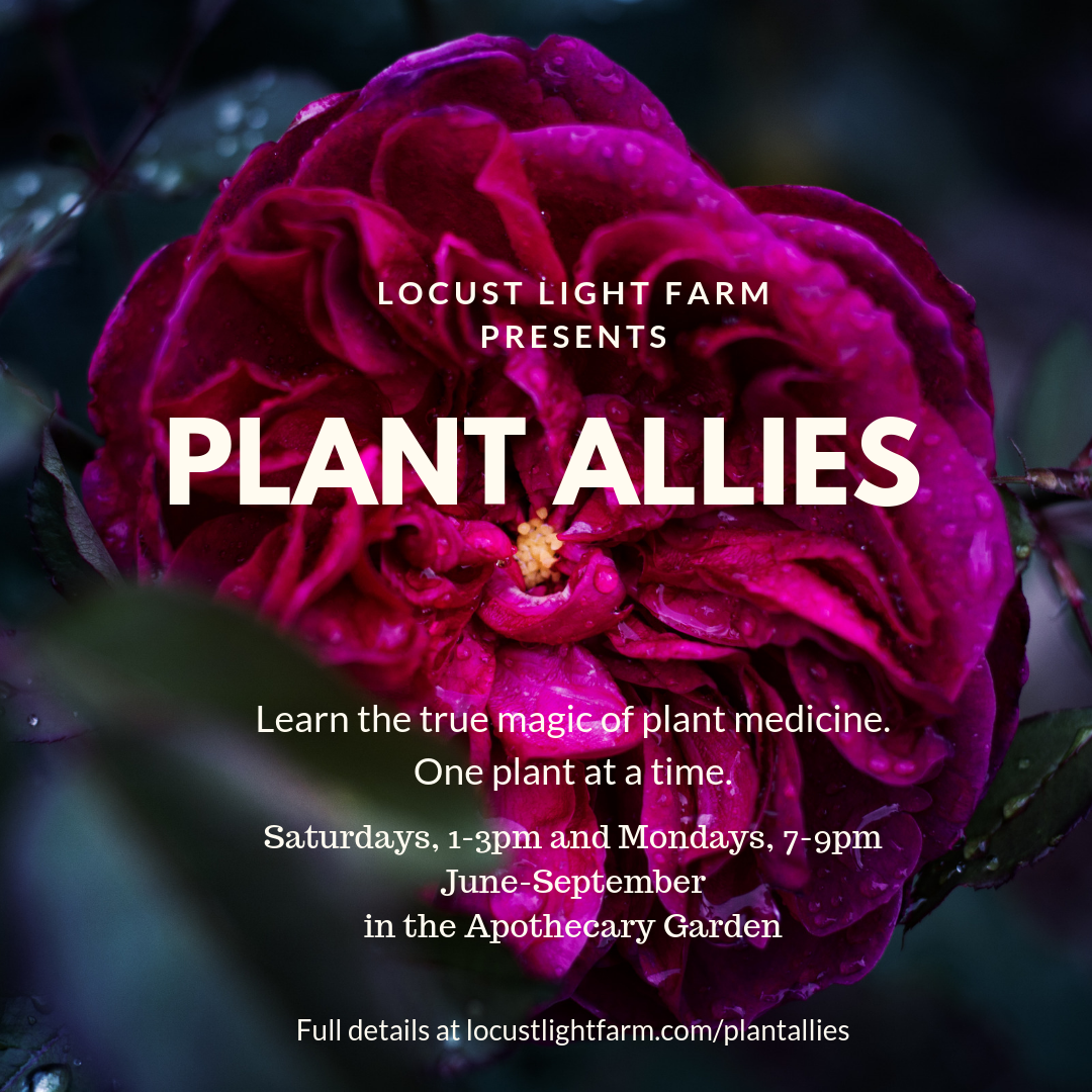 Plant allies.png
