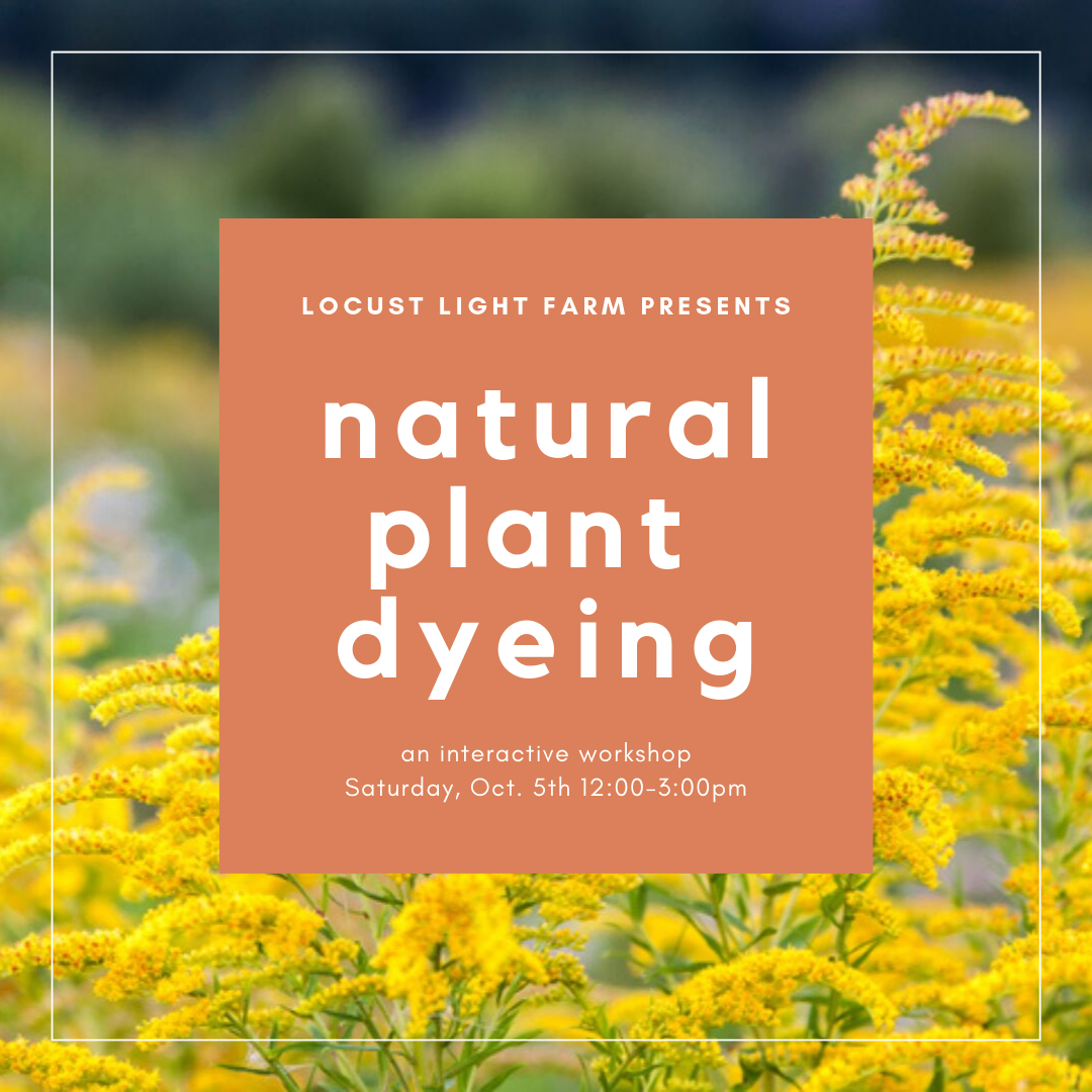 natural plant dyeing.png